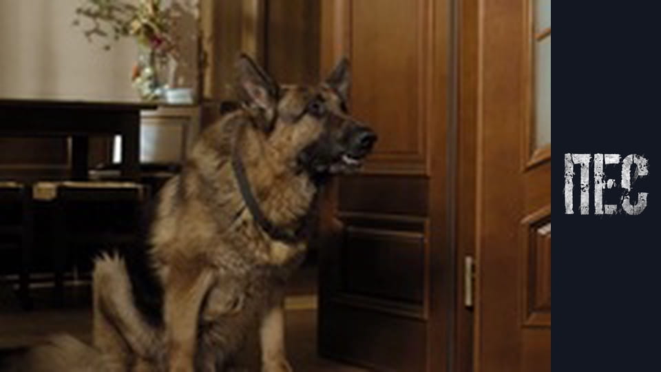 Пес, Сезон 2, Серія 24