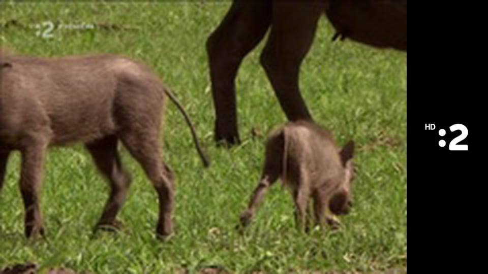 Zázračný miniateliér E5 - Zimná krajinka