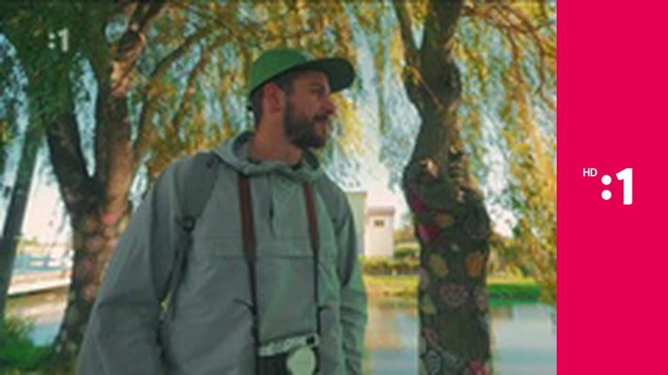 Zvuky domova E11 - Zeleneč