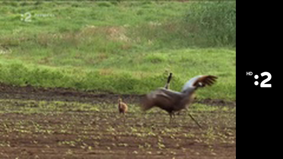 Zázračný miniateliér E61 - Domáci snehuliak