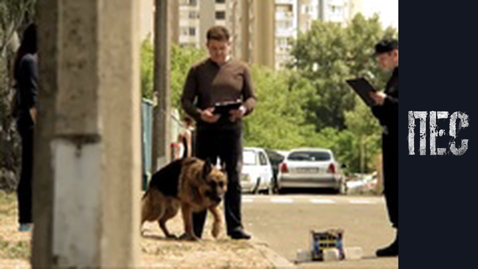 Пес, Сезон 3, Серія 1