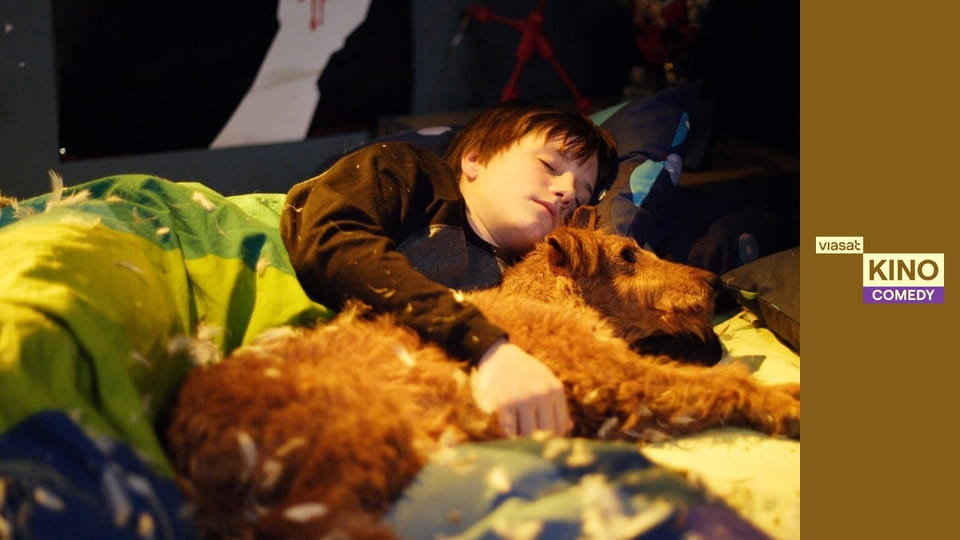 Пожежний пес