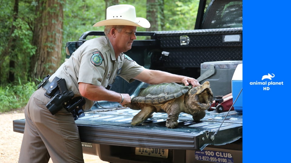 Правосудие Техаса S1E1 - За работу!