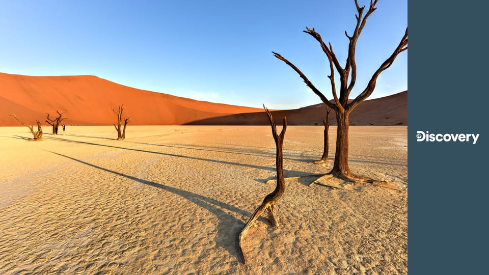 Голые и напуганные S7E17