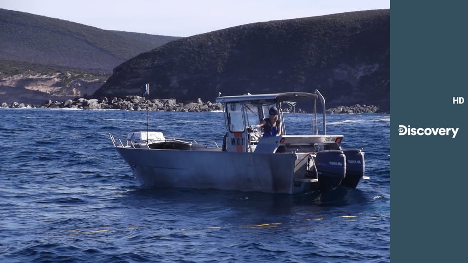 Войны за моллюсков S3E1