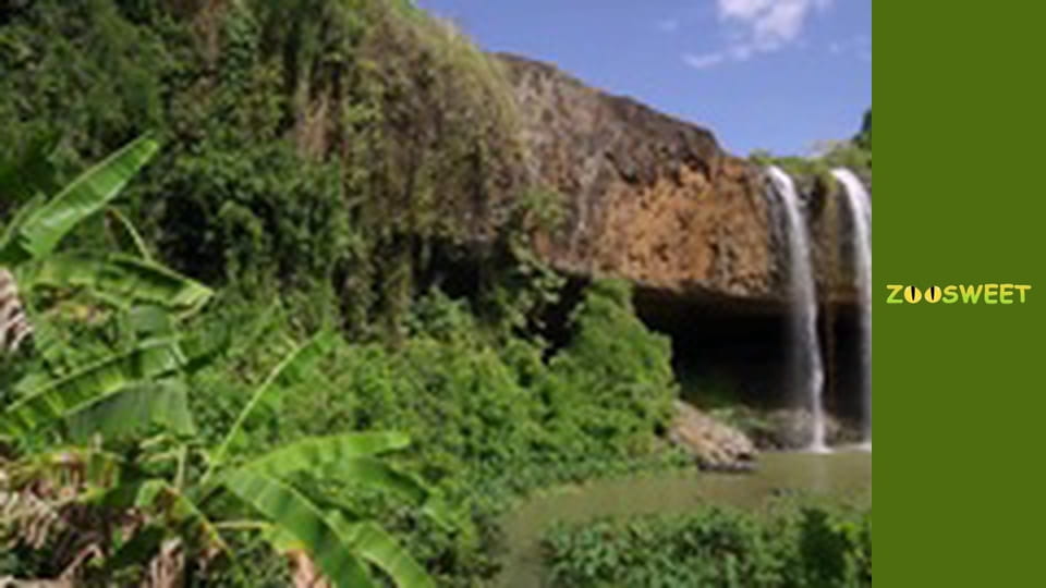 Світ дикої природи - серія 13