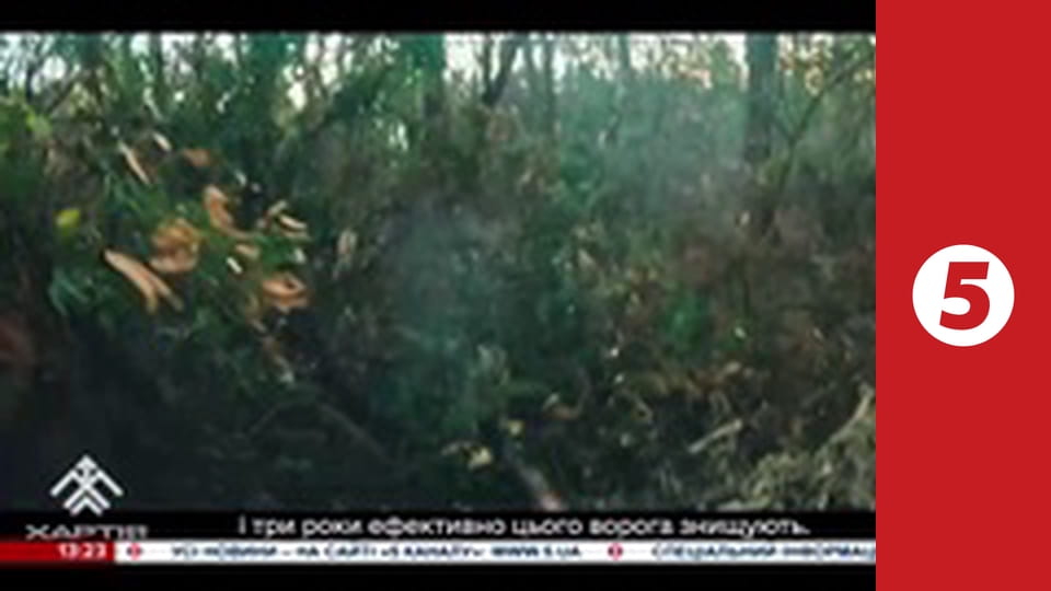 Незламна країна