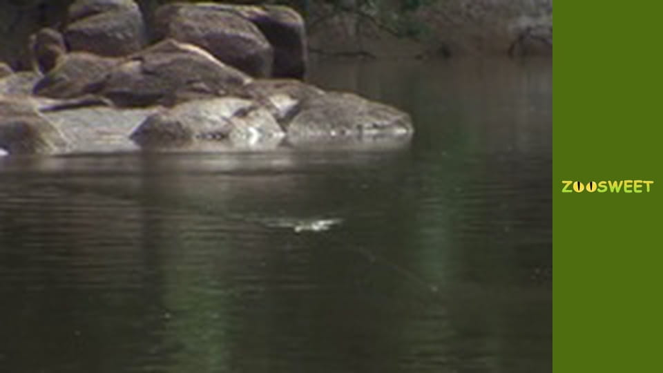 Fishing Expedition Amazonia Season 1 Episode 7