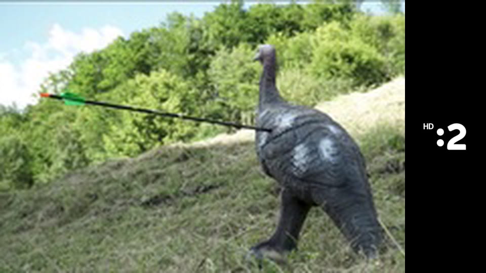 Zázračný miniateliér E87 - Štetce z darov prírody