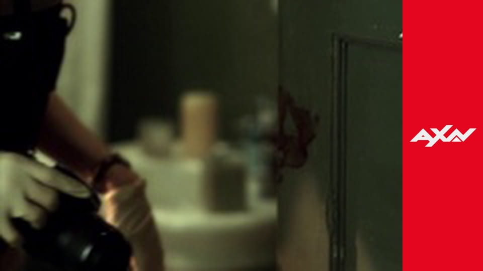 CSI S8E6 - CSI 806 - WHO AND WHAT