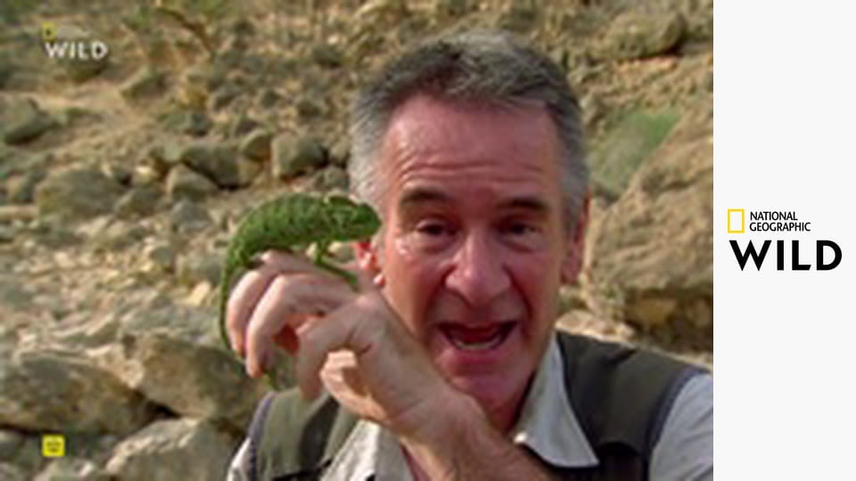 Deset nejnebezpečnějších hadů S3E4 - Arábie