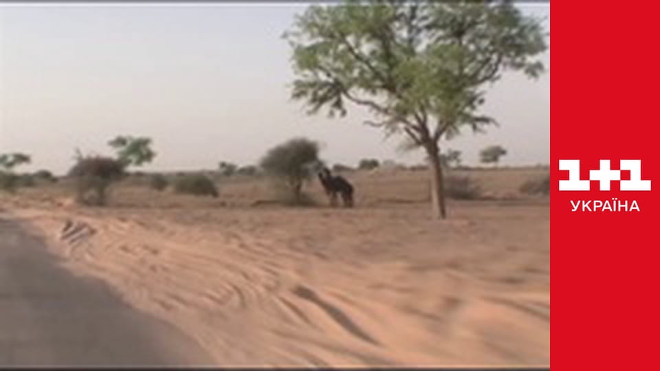 Світ навиворіт S2E8