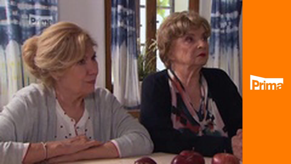 ZOO Nové začátky E193 - Pavoučí lázně