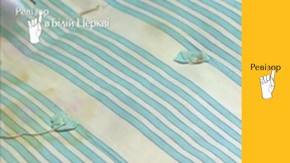 Ревізор, Сезон 5, Випуск 13