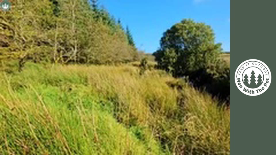 Three ways to cook delicious chicken drumsticks