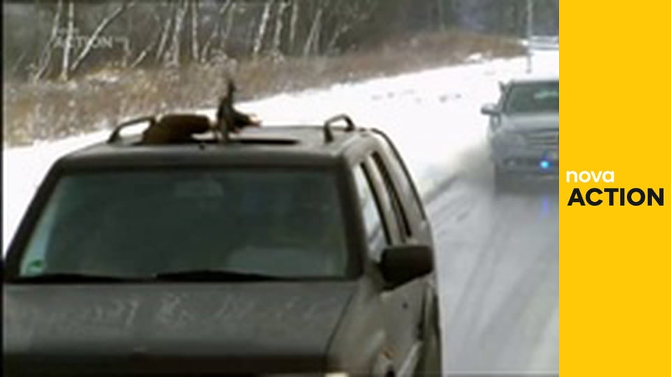 Kobra 11 S15E6 - Operace Tygr