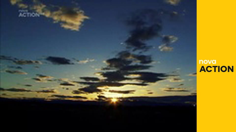 Mistři aukcí S2E22