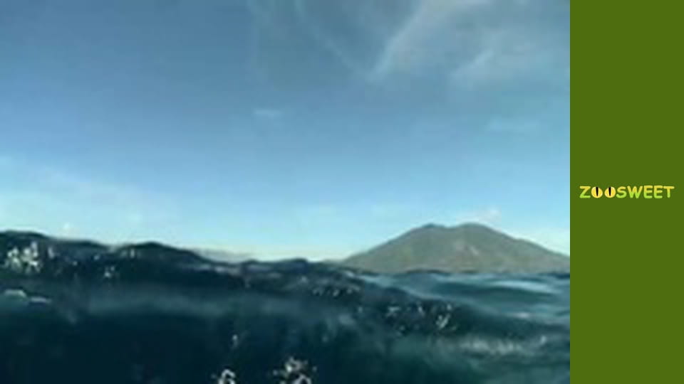 Моі друзі тварини. Малюки - серія 25