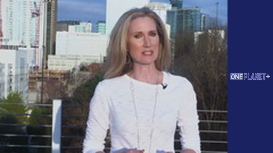 Your fantastic mind, Season 1, Episode 12