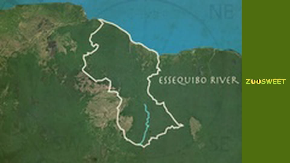 Рибальська експедиція в Амазонії Сезон 2 Епізод 1