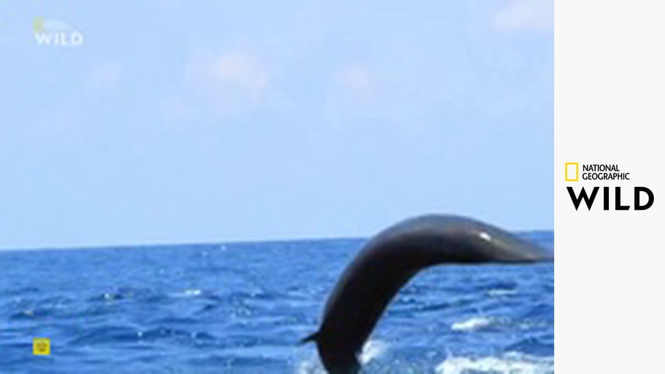 Kde se potkávají oceány