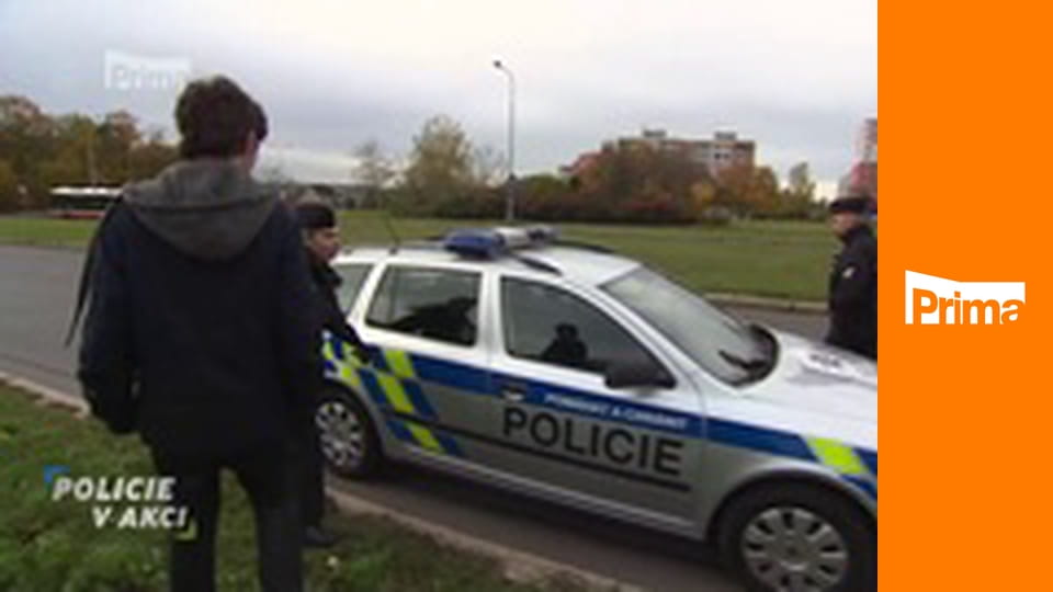 Policie v akci - Falešný kriminalista / Místní osobní znalost / Zpátky na houpačku