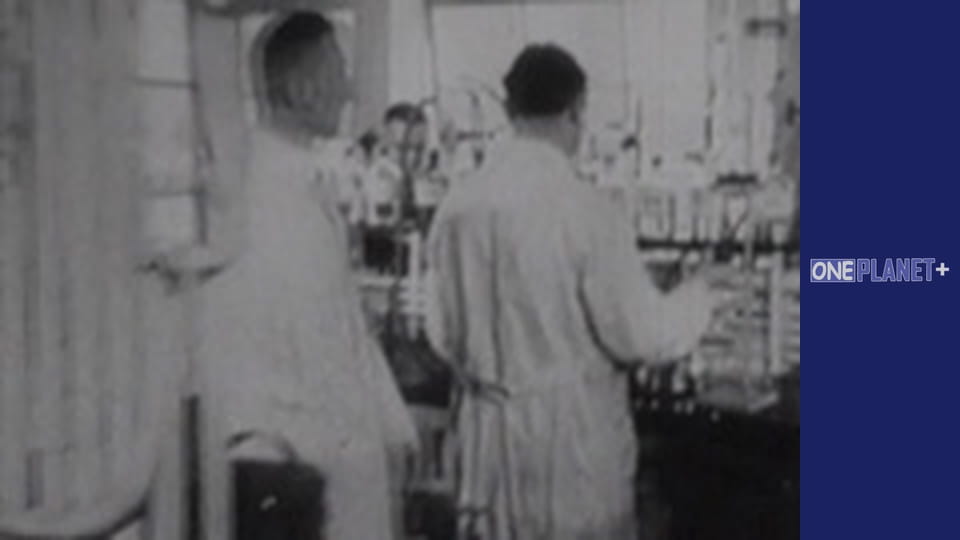 Секретно. Друга світова. - серия 11