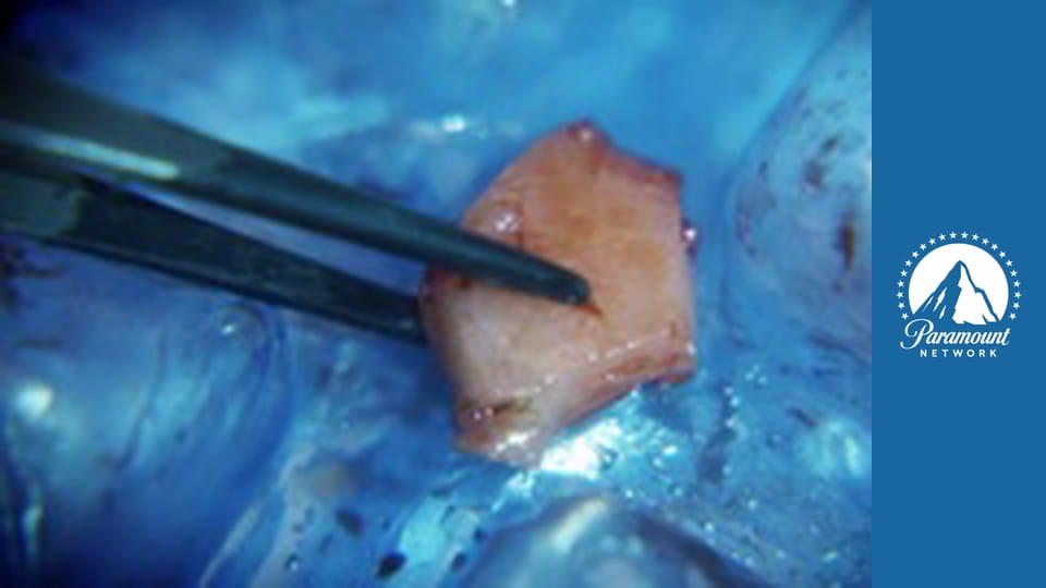 Kriminálka Las Vegas S12E6 - Obludárium