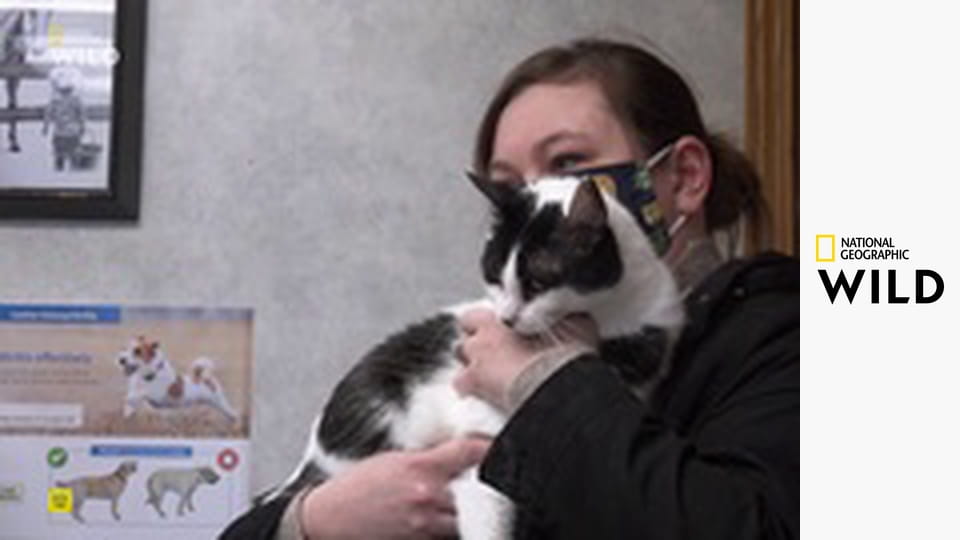 Skvělý dr. Pol S19E8 - Mládě na cestě