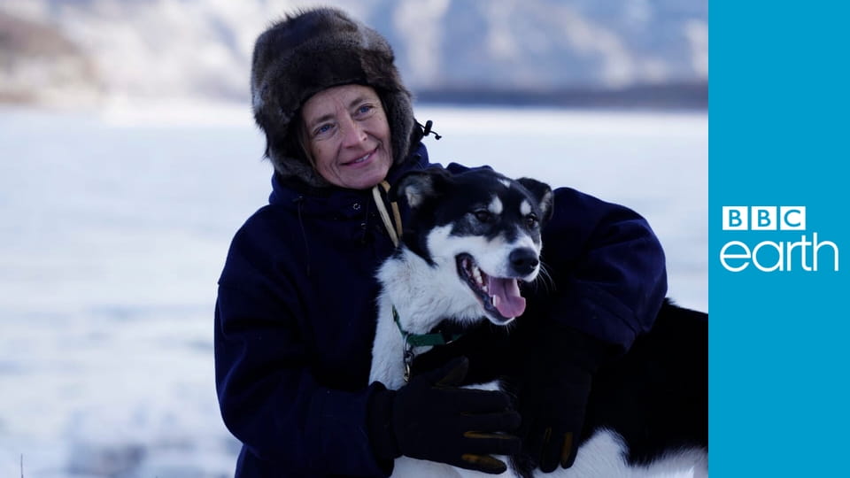 Life Below Zero S11E20 - One Last Chance