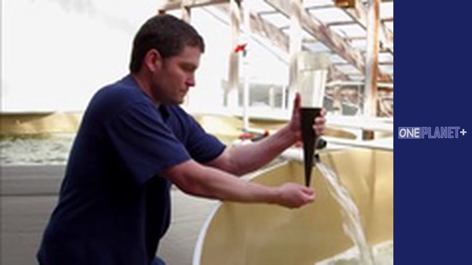 В поисках знаний. - cерия 15