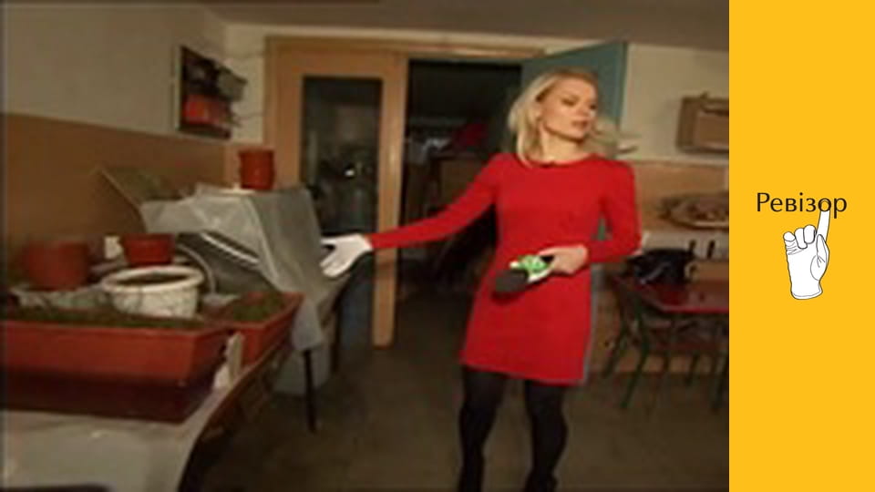 Ревізор, Сезон 2, Випуск 7