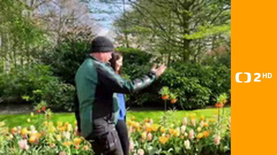 Evropa dnes - Nizozemsko v nejlepším světle