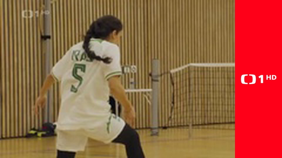 Losování Sportky a Šance