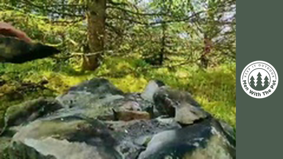 Cheese Tortillas with the Crunch