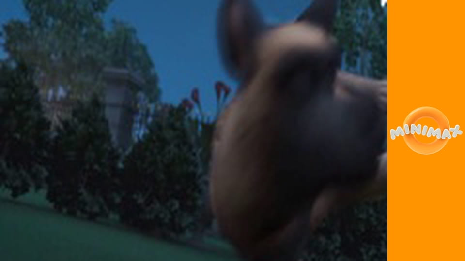 Talking Tom és barátai S5E24 - A zseniális Ginger