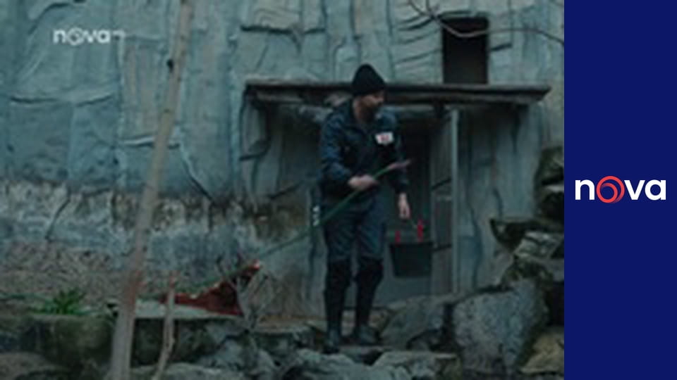 Kriminálka Anděl S5E10 - Příběh ze ZOO