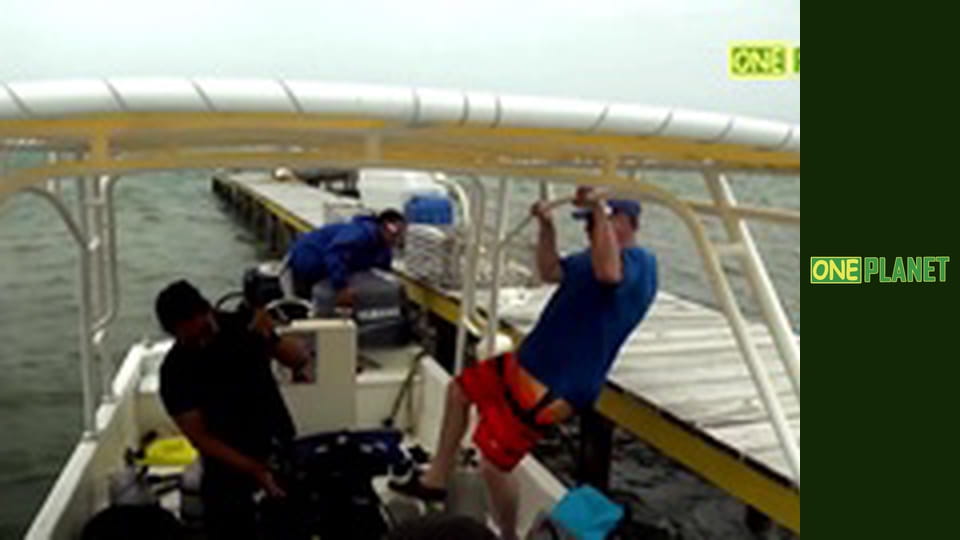 Мир морских глубин, 26 эп.