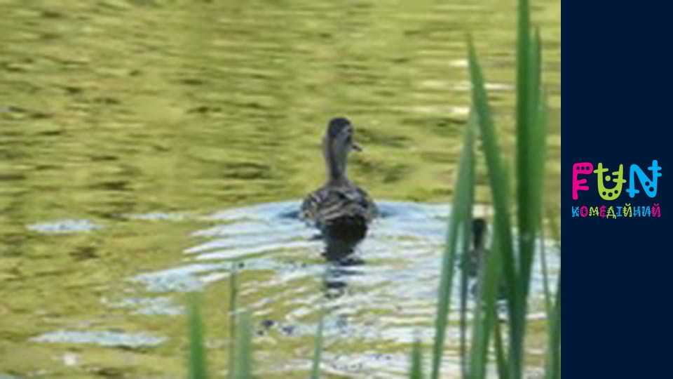 Екси - Сезон 2 Випуск 8