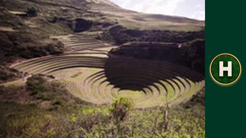 Латиноамериканський check-in