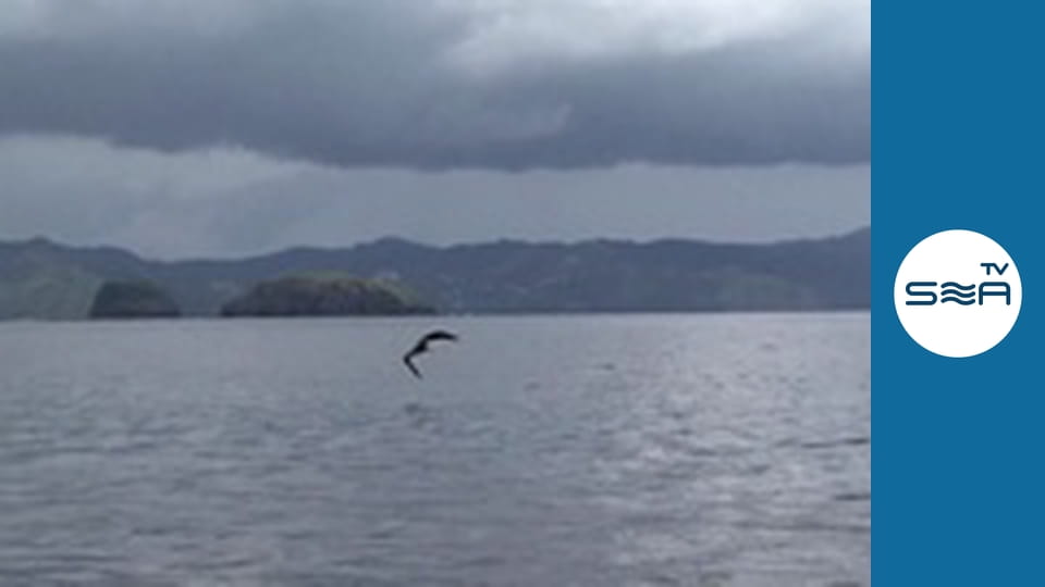 До дна - Коста-Ріка 2