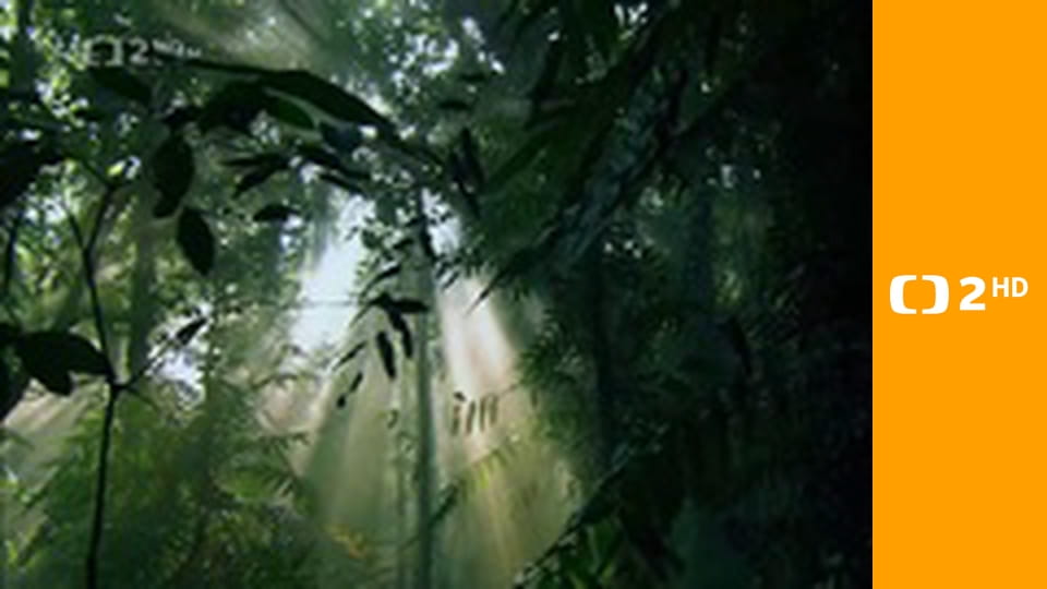 Luštitelé záhad E11 - Velikonoční ostrov