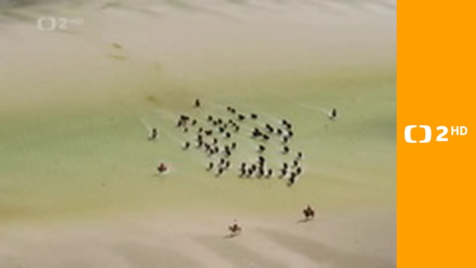 Australské dobrodružství E3 - Tasmánie