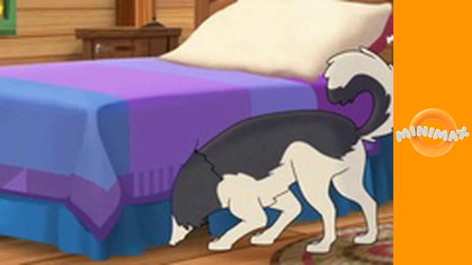 Molly z Denali S1E26 - Mollyina valentýnská katastrofa/Bačkory z dikobraza