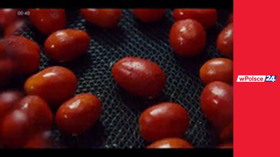 Budzimy się wPolsce24