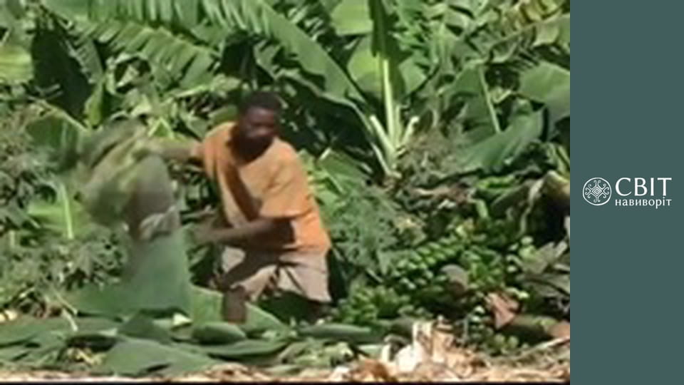 Сезон 3, Выпуск 11, Танзания