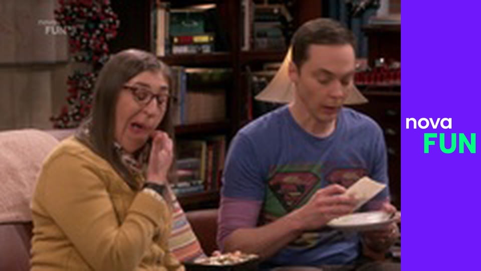 Teorie velkého třesku S11E19 - Disociace nájemníků