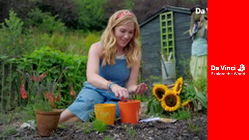 А ти знаєш? - Медді, рослини і ви - Квіти