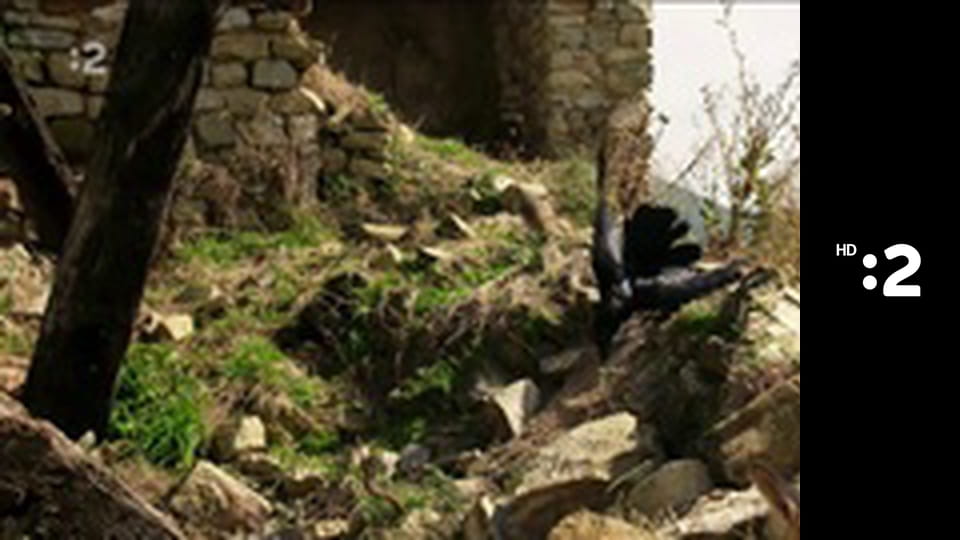 Slimák Maťo a škriatok Klinček E93 - Ako Maťo s Klinčekom urazili špinu