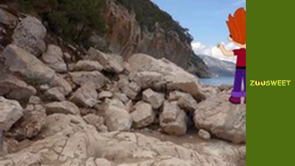 Моі друзі тварини. Підводна міссія - серія 14